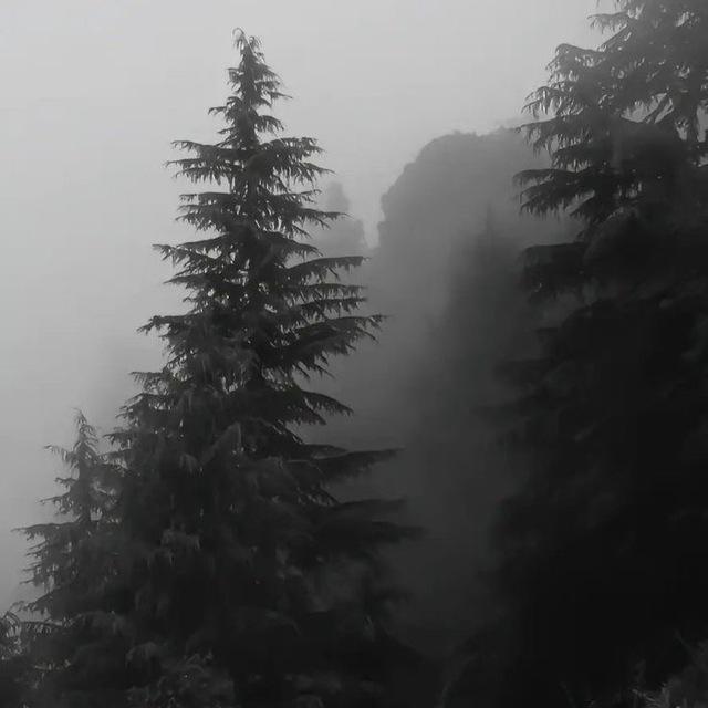 • إلْتِئام •