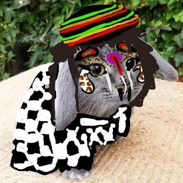 ᯏ 🌭〽️ ﾟ ⲥⲏⲁⲣⲣⲓⲋ! ⌢