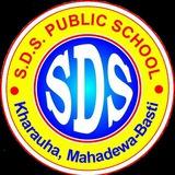 SDS Public School