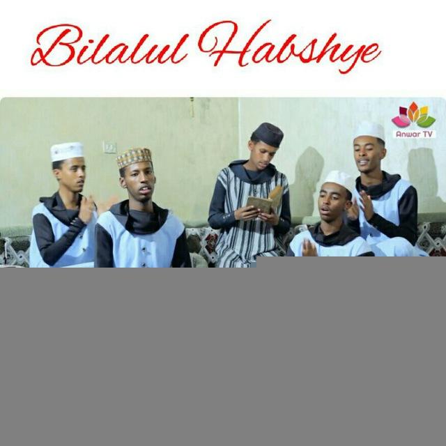 ቢላሉል ሀበሽይ ጀመአ
