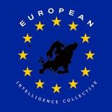 European Intelligence Collective
