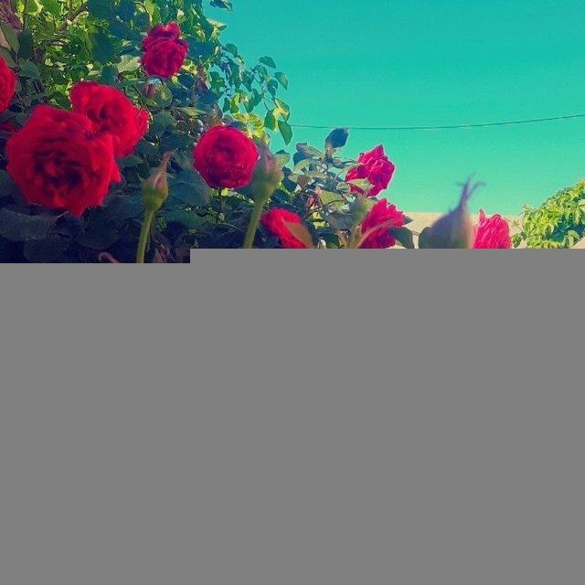 غزل عربي فصيح ❤️🔥
