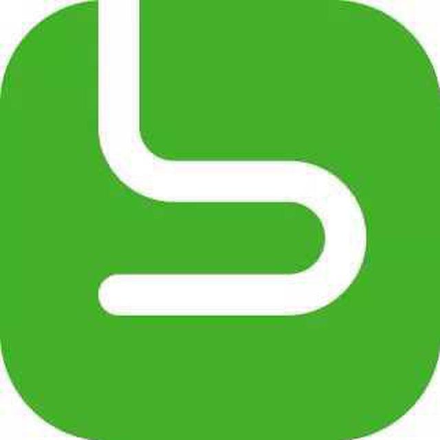 Borey Technology Official