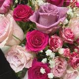 قطرات الندى
