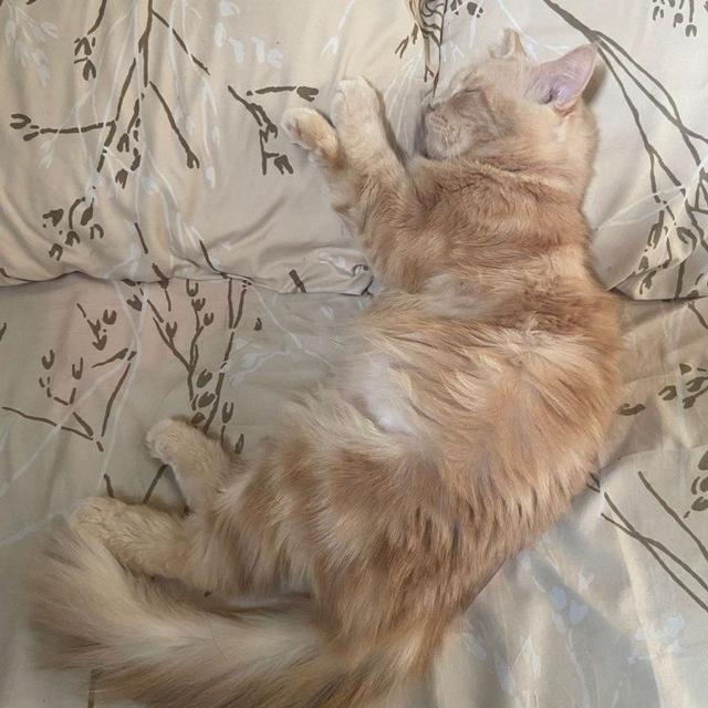 💤💤💤💤💤
