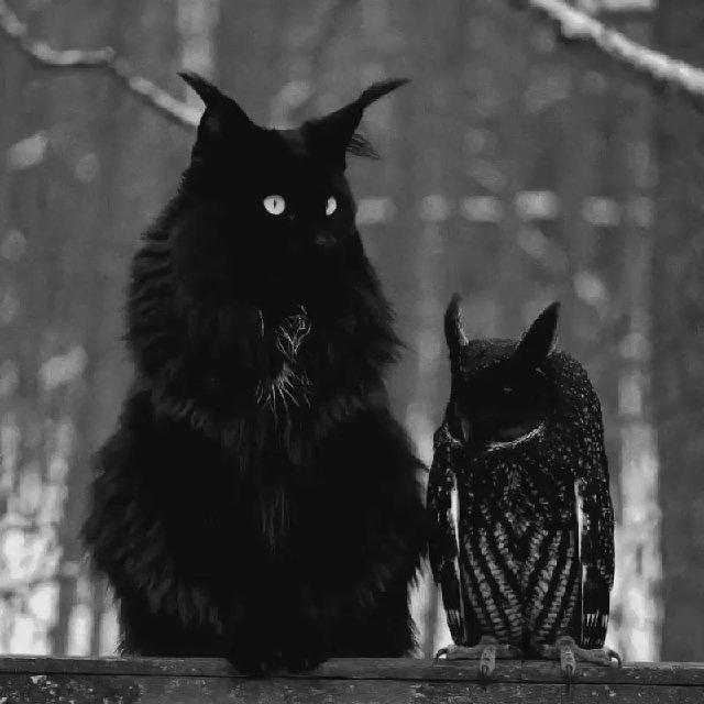 I҉n҉v҉e҉s҉t҉i҉g҉a҉t҉i҉o҉n҉ A҉n҉o҉n҉Y҉m҉o҉u҉s҉