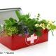 Herbs and Healing
