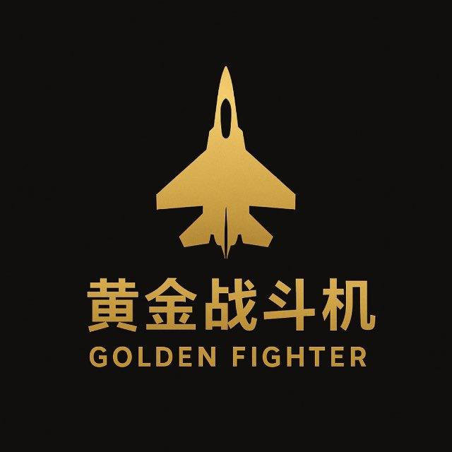 黄金战斗机 🛩️🥇