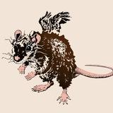 крысота🐀❤️