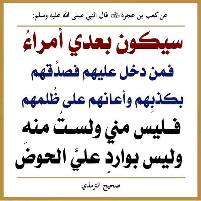 الشيخ ماجد الراشد/ العلمية