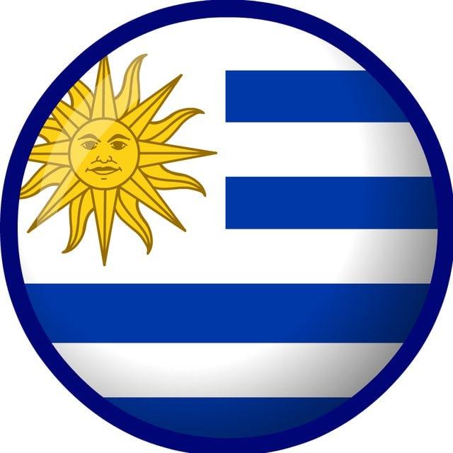 DIRECTORIO UY