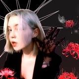 rekohi 🐙
