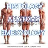 Anatomy and physiology