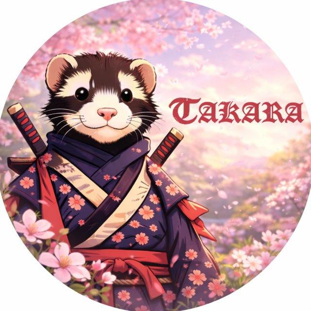 Питомник хорьков "TAKARA"