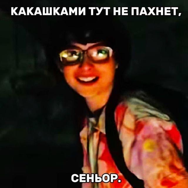 Финн Вулфхард Фан Авы Стикеры