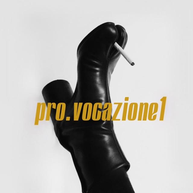 Pro.vocazione