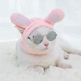 Dog&Cat supplies