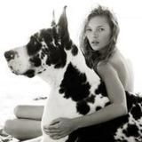 Dog models