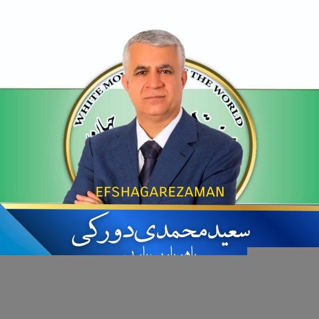 Saeidmohammadidoraki