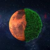 💎 TON Planets 🌐 En