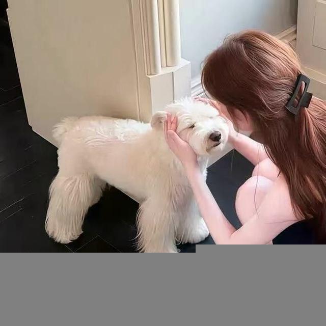 小宝出号区