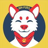 Nordhessen Furs News