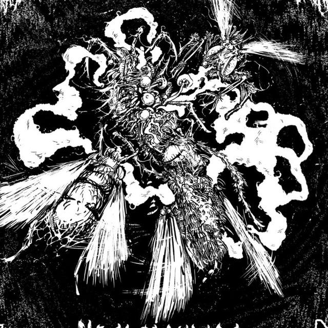 Rampant Decomposition