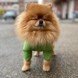 Sofa_pom
