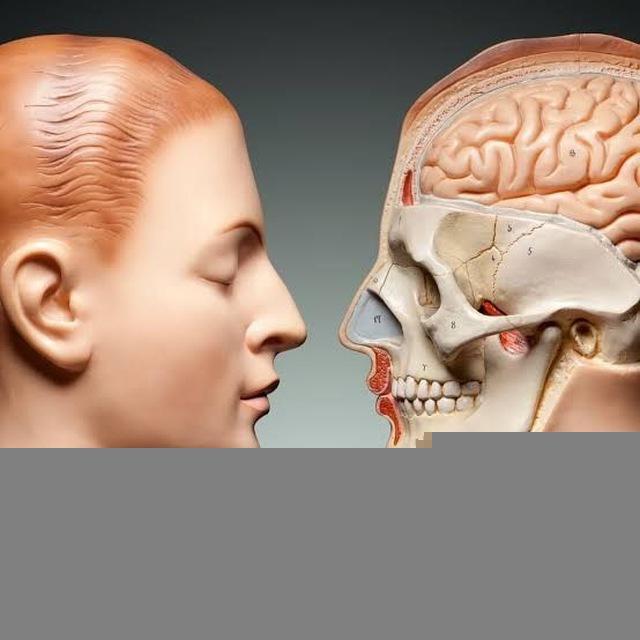 Anatomy 2nd