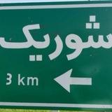 شوریک نیوز