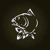 Рыболовный магазин BIG FISH