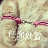 教练的健身房