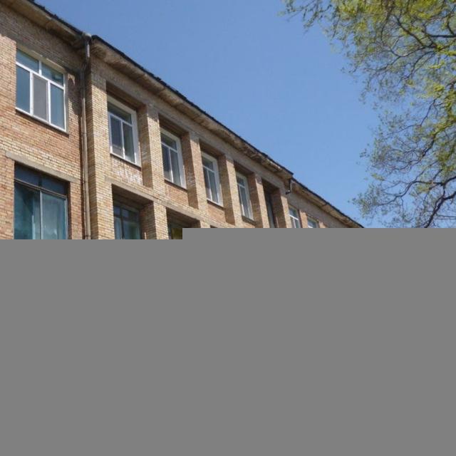 Школа Зарубино