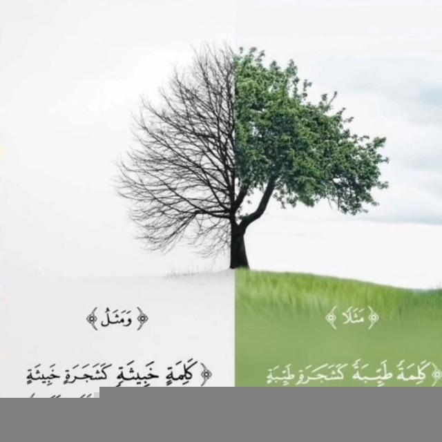 Kur'anla Şifa Rukye Ve Hacamat Gaziantep 0553 099 70 95