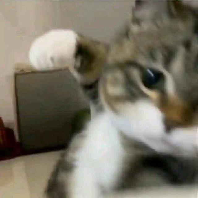 𝙼𝙾𝙼