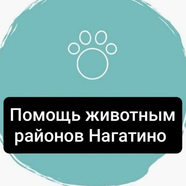 Животные в НАГАТИНО, потеряшки и помощь ЮАО, Нагатинский затон, Нагатино-Садовники (ранее чат Хвостик в беде)