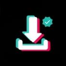 Video Downloader | Twitter TikTok