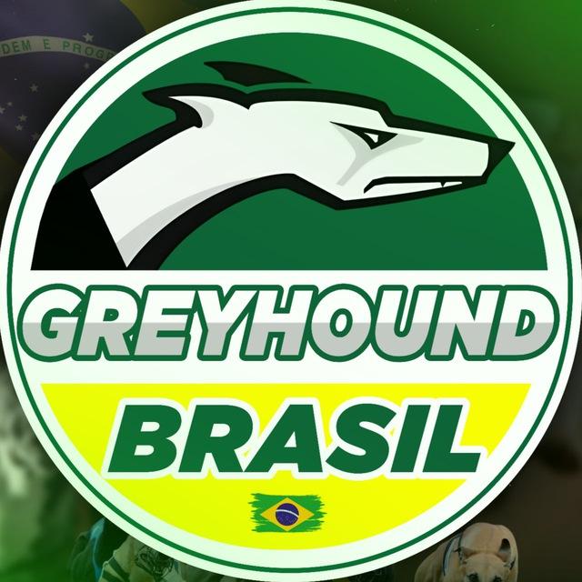 ɢʀᴇʏʜᴏᴜɴᴅ ʙʀᴀsɪʟ 🇧🇷
