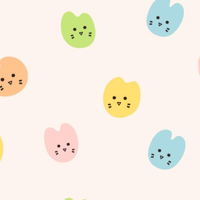 BedForPet Чат Помощи Животным ПРАГА