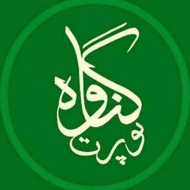 گناوه پورت