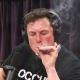 Elon Musk SpaceX Crypto Signals