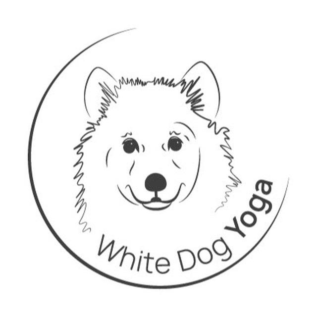 White Dog Yoga | Студия в ЖК Воронцовский парк, йога Новые Черёмушки
