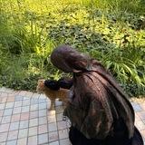 من مَنا لاَ يحن؟