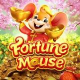 Robô Fortune Mouse 🐭 ( Oficial )