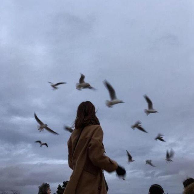 حَ .