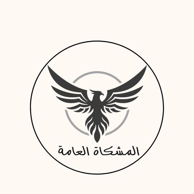 المشكاة - عمرو عبد العزيز