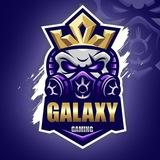 GalaxyStore Proofs
