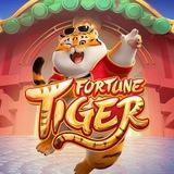 PLAYTILT - TIGER 🐯