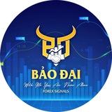 Channel - Bảo Đại Forex Signals 💰