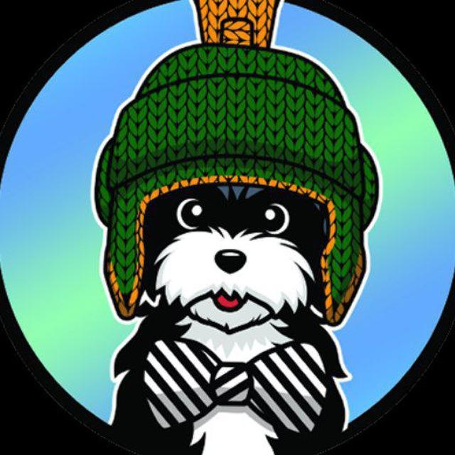 MARVIN | THE FIRST DOG WIF A HAT